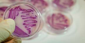 Foto: (Manjurul/istock)