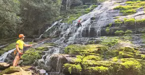 Foto: (Divulgação/Abeta)