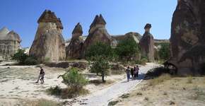 Foto: (Imagem sem texto alternativo disponivel ID [1394247])