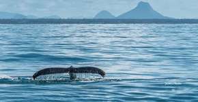 Foto: (Janderson Martins/Divulgação)