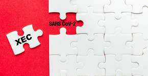 Os sintomas da XEC, nova variante da covid-19; como prevenir?