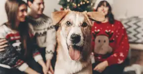 Foto: (Imagem sem texto alternativo disponivel ID [2671553])