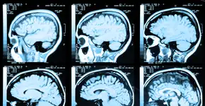 Foto: (IxMaster/DepositPhotos)