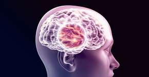 Alimento que todo brasileiro conhece pode ajudar a evitar demência, diz estudo