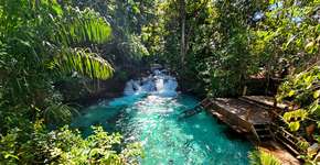 Foto: (Istock/Wirestock)