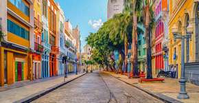 Foto: (FerreiraSilva;iStock)