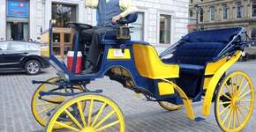 Carruagem elétrica pode por fim à exploração animal em Montreal