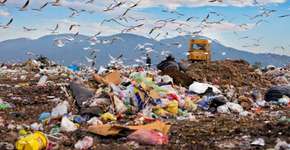 Um terço do lixo orgânico da América Latina vai parar nos lixões