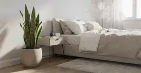 Foto: (Imagem sem texto alternativo disponivel ID [2686461])