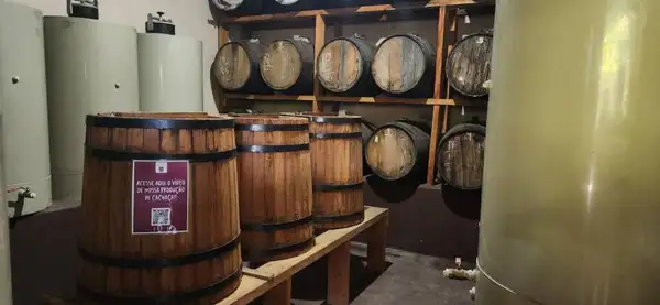 Barris de carvalho armazenam aguardentes