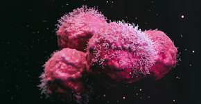 Cientistas descobrem possível novo tratamento contra o câncer