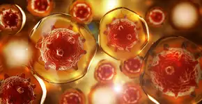 Estudo descobre como eliminar HIV do corpo e abre caminho para a cura