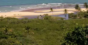 Foto: (Joa_Souza/iStock)