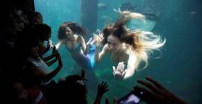 Foto: (Imagem sem texto alternativo disponivel ID [1847570])