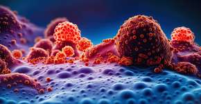 Cientistas listam alimentos que podem reduzir risco de câncer