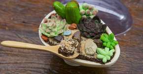 Ovo de Páscoa terrário com cactos comestíveis