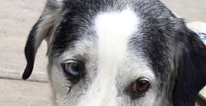 Dia de Doar: conheça ONGs que precisam da sua ajuda