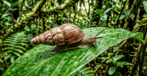 Foto: (Imagem sem texto alternativo disponivel ID [2757316])