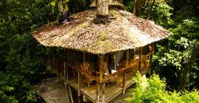 Foto: (Imagem sem texto alternativo disponivel ID [647423])