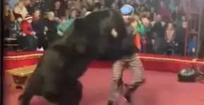 Vídeo: Urso ataca treinador em circo na Rússia bem pertinho da plateia