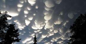 Foto: (Imagem sem texto alternativo disponivel ID [438041])