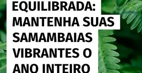 Rega ideal: saiba como manter suas samambaias saudáveis o ano todo