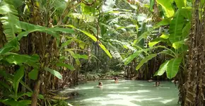 Foto: (Eduardo Andreassi)