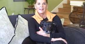 Atriz Ali MacGraw luta para salvar animais abusados em zoo