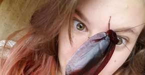 Foto: (Imagem sem texto alternativo disponivel ID [1348742])