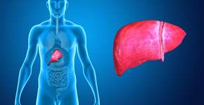 Estudo revela a bebida associada ao aumento de gordura no fígado