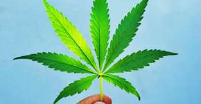 USP recebe série de debates gratuitos sobre antiproibicionismo