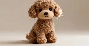 Por que tantas mulheres estão escolhendo o poodle toy