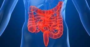 Foto: (Imagem sem texto alternativo disponivel ID [1868980])