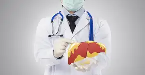 Você pode estar com gordura no fígado e nem saber! Veja como identificar a tempo de cuidar