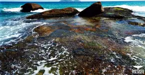 Foto: (Imagem sem texto alternativo disponivel ID [863292])