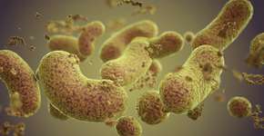 Bactérias intestinais podem revelar Alzheimer antes dos sintomas