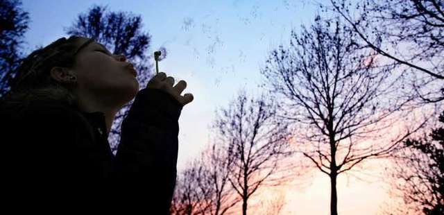 10 lugares perfeitos para você desacelerar em São Paulo