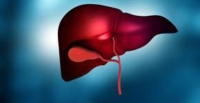 Foto: (Rasi Bhadramani/istock)