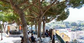 Foto: (Filipe Rocha/Wikimidia Commons)