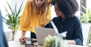 Foto: (Divulgação)