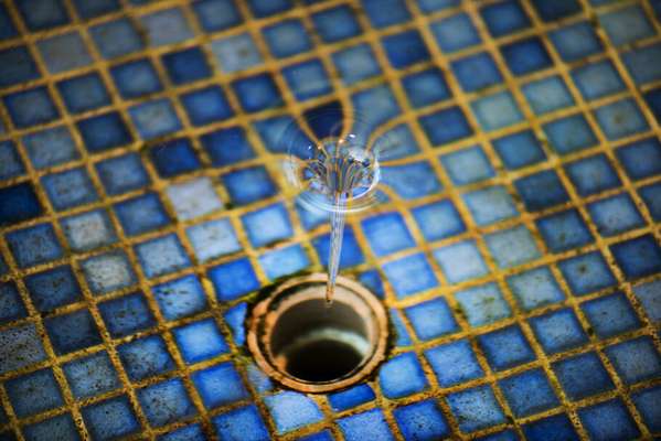 Foto para a campanha 