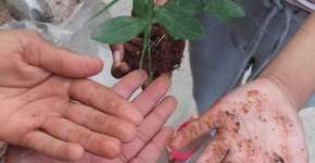 Foto: (Imagem sem texto alternativo disponivel ID [1853774])