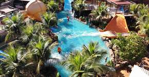 Foto: (Divulgação)