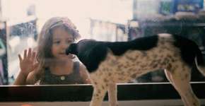 Para incentivar adoção, projeto troca animais à venda em pet shops por animais abandonados