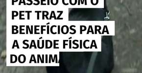Passeio com o pet traz benefícios para a saúde física do animal e do tutor