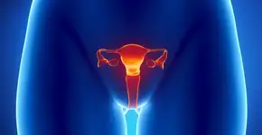 Câncer de colo de útero: principal aliada na prevenção está ao seu alcance