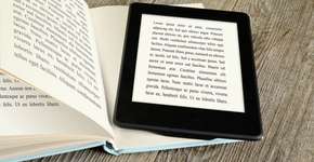 Foto: (Imagem sem texto alternativo disponivel ID [619384])