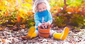 Artigo alerta que criança deve brincar na natureza <br>para se preocupar em protegê-la