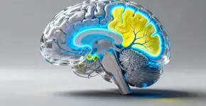 O que significa quando você se esquece de ter sonhado