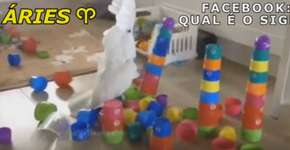 O animal de estimação de cada signo em GIFs